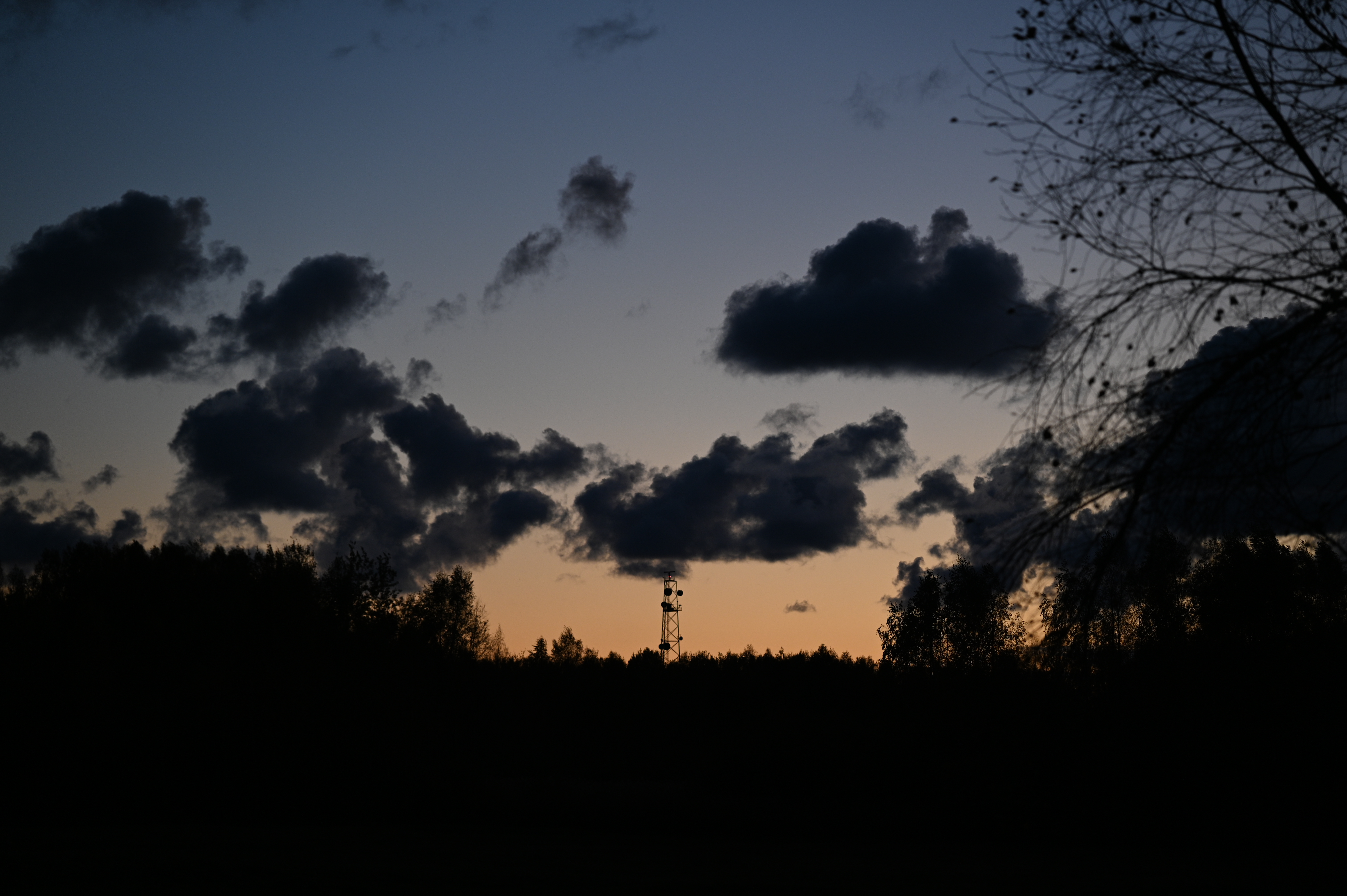 2025/10/18 - walk/DSC_0651.JPG